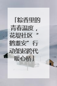 粽香里的青春温度，花堤社区“鹤耋安”行动架起跨代暖心桥