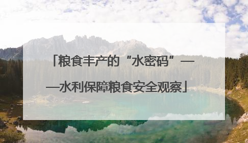 粮食丰产的“水密码”——水利保障粮食安全观察