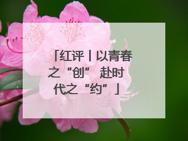 红评丨以青春之“创” 赴时代之“约”