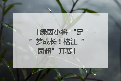 绿茵小将 “足”梦成长！榕江“园超”开赛