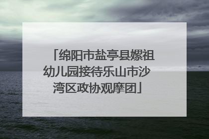 绵阳市盐亭县嫘祖幼儿园接待乐山市沙湾区政协观摩团