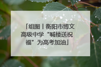 组图丨衡阳市博文高级中学“喊楼送祝福”为高考加油