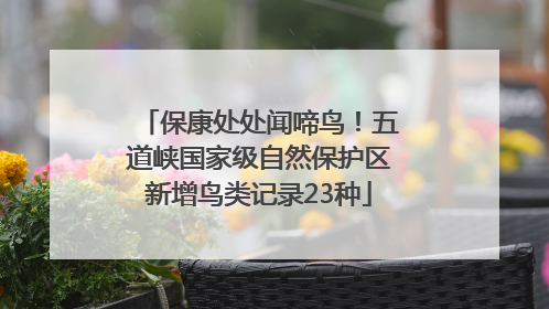 保康处处闻啼鸟！五道峡国家级自然保护区新增鸟类记录23种