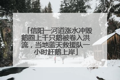 信阳一河道涨水冲毁鹅圈上千只鹅被卷入洪流，当地蓝天救援队一小时赶鹅上岸