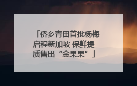 侨乡青田首批杨梅启程新加坡 保鲜提质售出“金果果”