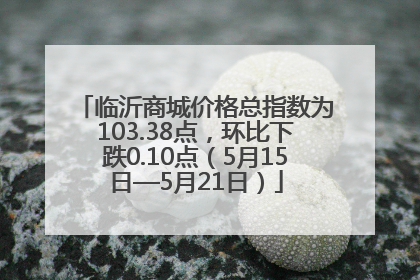 临沂商城价格总指数为103.38点，环比下跌0.10点（5月15日—5月21日）