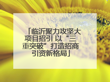 临沂聚力攻坚大项目招引 以“三重突破”打造招商引资新格局