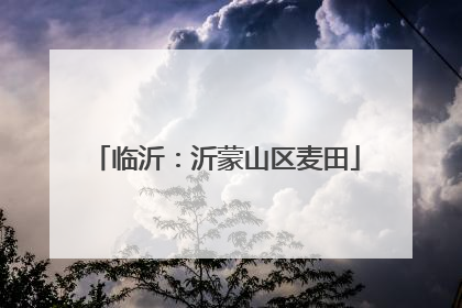 临沂：沂蒙山区麦田