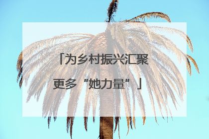 为乡村振兴汇聚更多“她力量”