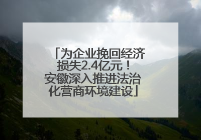 为企业挽回经济损失2.4亿元！安徽深入推进法治化营商环境建设