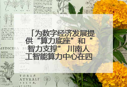 为数字经济发展提供“算力底座”和“智力支撑” 川南人工智能算力中心在四川泸州启动