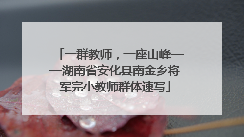 一群教师，一座山峰——湖南省安化县南金乡将军完小教师群体速写
