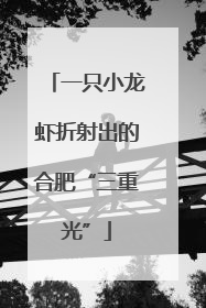 一只小龙虾折射出的合肥“三重光”