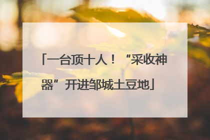 一台顶十人！“采收神器”开进邹城土豆地