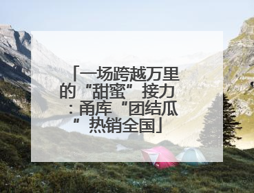 一场跨越万里的“甜蜜”接力：甬库“团结瓜”热销全国