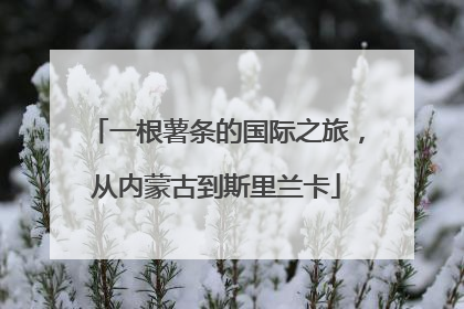 一根薯条的国际之旅，从内蒙古到斯里兰卡