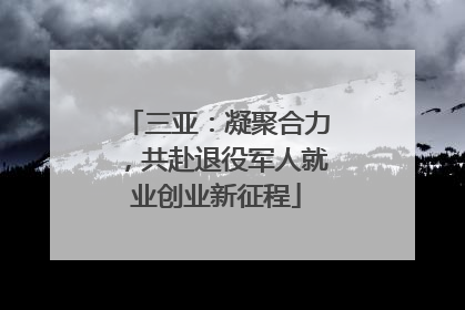 三亚：凝聚合力，共赴退役军人就业创业新征程