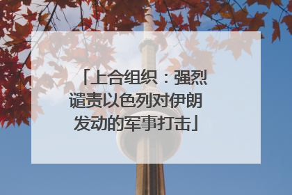 上合组织：强烈谴责以色列对伊朗发动的军事打击