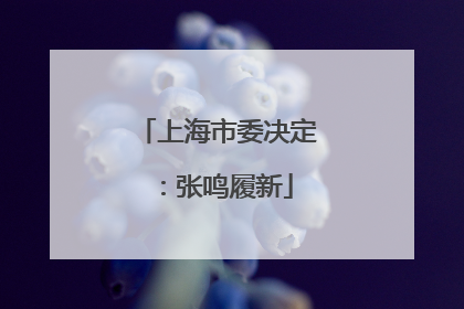 上海市委决定：张鸣履新