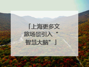 上海更多文旅场景引入“智慧大脑”