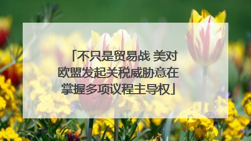 不只是贸易战 美对欧盟发起关税威胁意在掌握多项议程主导权