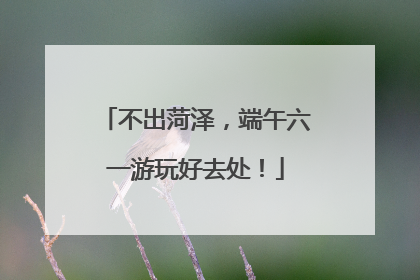 不出菏泽，端午六一游玩好去处！