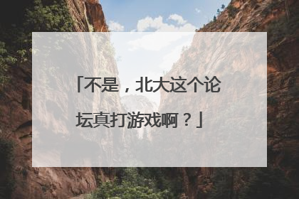 不是，北大这个论坛真打游戏啊？