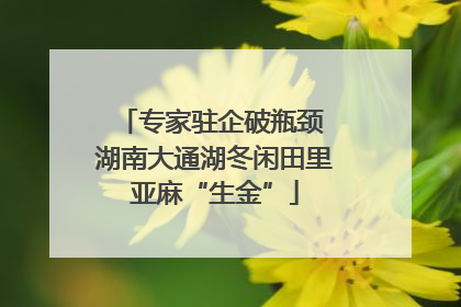 专家驻企破瓶颈 湖南大通湖冬闲田里亚麻“生金”