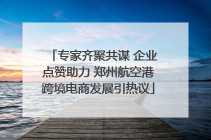 专家齐聚共谋 企业点赞助力 郑州航空港跨境电商发展引热议