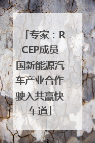 专家：RCEP成员国新能源汽车产业合作驶入共赢快车道