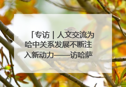 专访｜人文交流为哈中关系发展不断注入新动力——访哈萨克斯坦文化与信息部部长巴拉耶娃