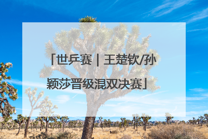世乒赛｜王楚钦/孙颖莎晋级混双决赛