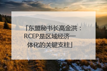 东盟秘书长高金洪：RCEP是区域经济一体化的关键支柱