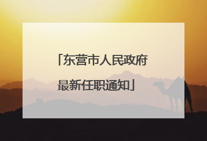 东营市人民政府最新任职通知