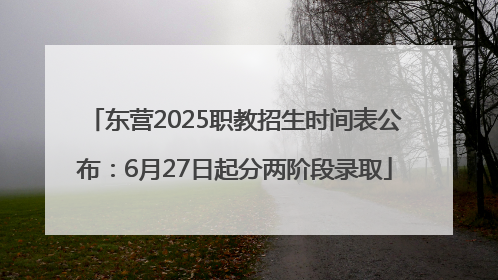 东营2025职教招生时间表公布：6月27日起分两阶段录取