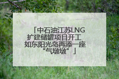 中石油江苏LNG扩建储罐项目开工 如东阳光岛再添一座“气墩墩”
