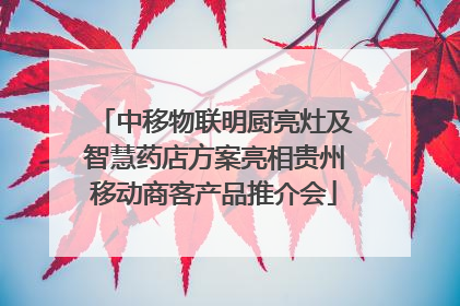 中移物联明厨亮灶及智慧药店方案亮相贵州移动商客产品推介会