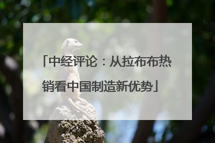 中经评论：从拉布布热销看中国制造新优势