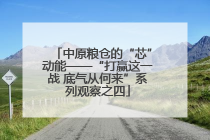 中原粮仓的“芯”动能——“打赢这一战 底气从何来”系列观察之四