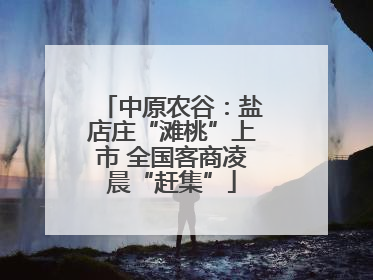 中原农谷：盐店庄“滩桃”上市 全国客商凌晨“赶集”