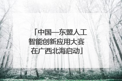 中国—东盟人工智能创新应用大赛在广西北海启动