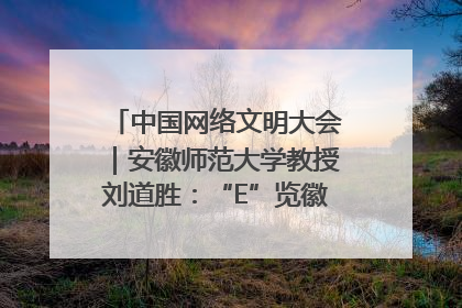中国网络文明大会｜安徽师范大学教授刘道胜：“E”览徽风，构筑中华民族共有精神家园