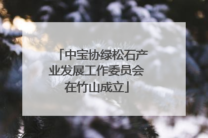 中宝协绿松石产业发展工作委员会在竹山成立