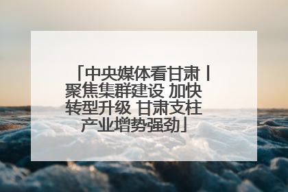 中央媒体看甘肃丨聚焦集群建设 加快转型升级 甘肃支柱产业增势强劲