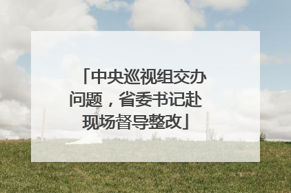 中央巡视组交办问题，省委书记赴现场督导整改