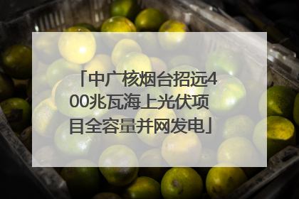 中广核烟台招远400兆瓦海上光伏项目全容量并网发电
