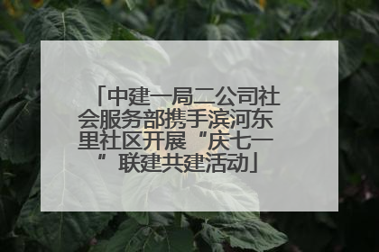 中建一局二公司社会服务部携手滨河东里社区开展“庆七一”联建共建活动