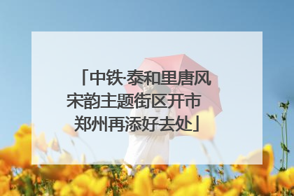 中铁·泰和里唐风宋韵主题街区开市 郑州再添好去处