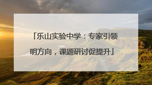 乐山实验中学：专家引领明方向，课题研讨促提升