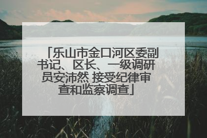 乐山市金口河区委副书记、区长、一级调研员安沛然 接受纪律审查和监察调查